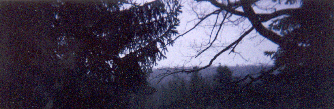 view.jpg